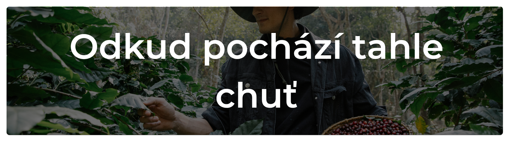 O kávě kterou pro vás pražíme