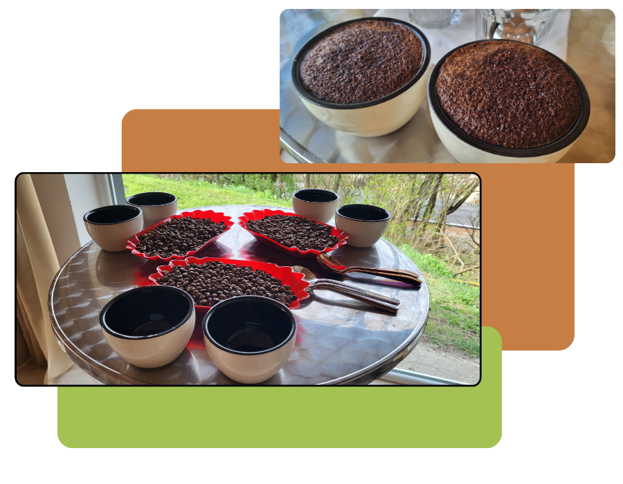 Cupping score