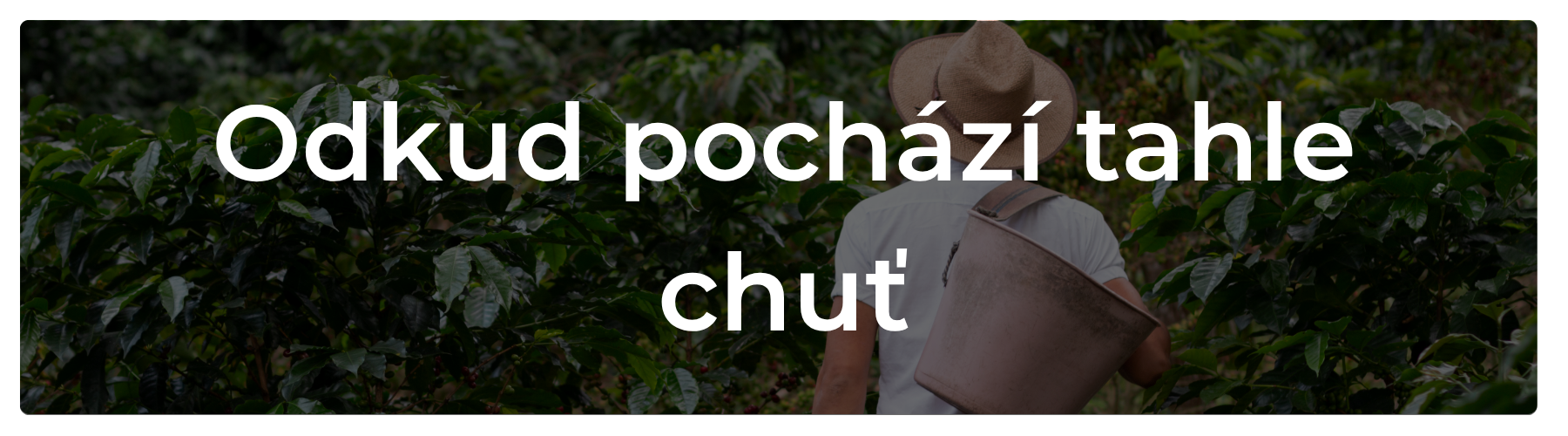 O kávě kterou pro vás pražíme