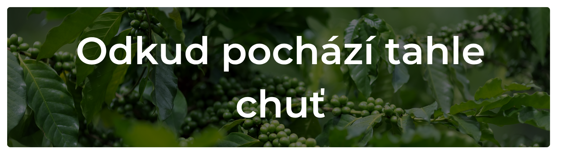O kávě kterou pro vás pražíme
