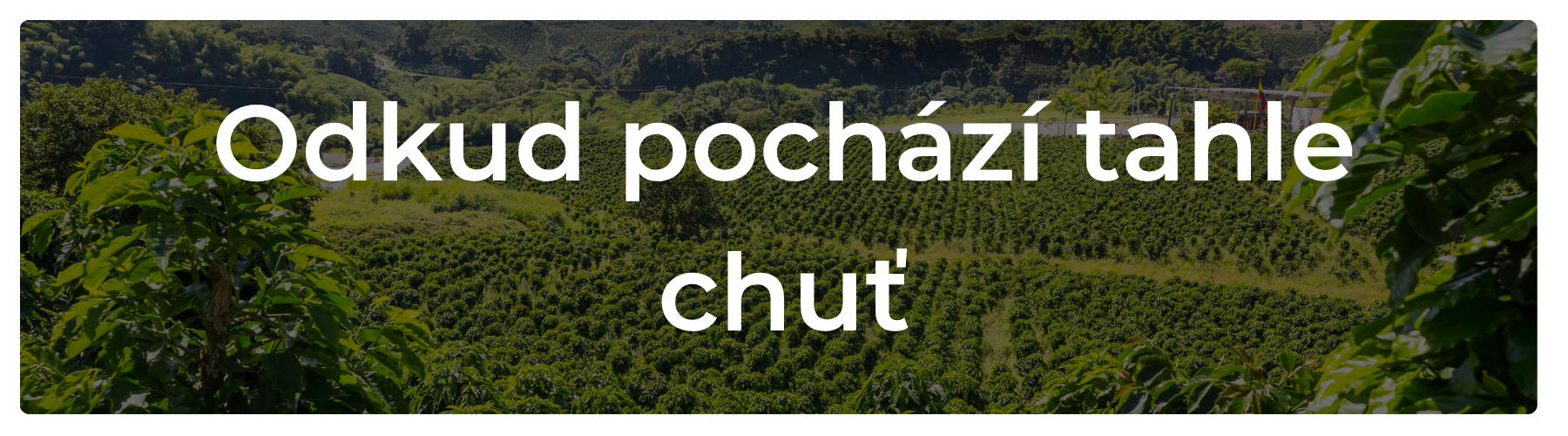 O kávě kterou pro vás pražíme