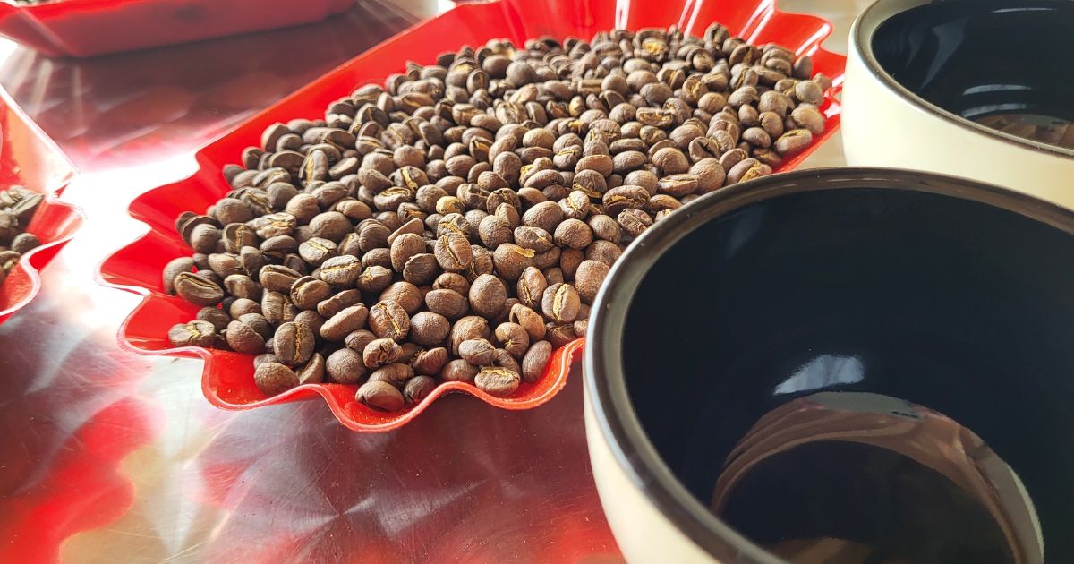 Cupping session – degustace výběrové kávy u Johnny Coffee v Moravském Krumlově