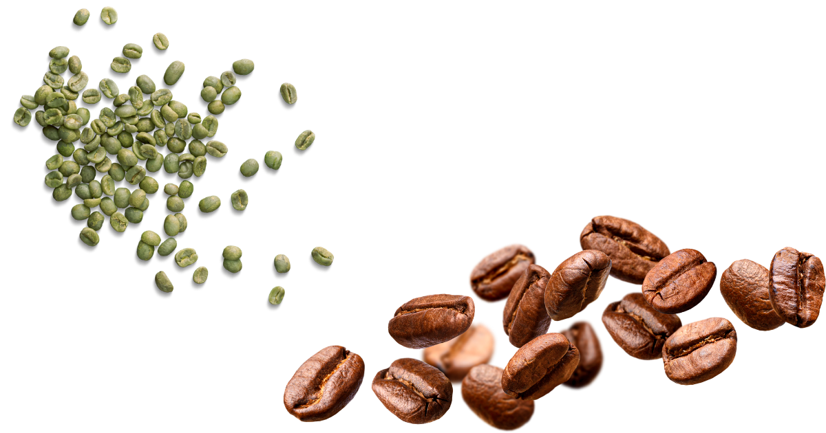 Druhy kávy — zelená kávová zrna arabiky před pražením od pražírny Johnny Coffee