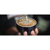 Sage BES875BKR  THE BARISTA EXPRESS™