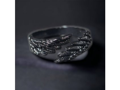 prsten s křídli černé pozadí