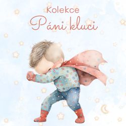Páni kluci