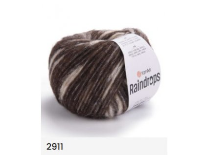 Raindrops 2911