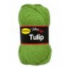 Tulip 4156