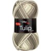 Tulip color 5216