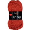Tulip BIG 4238