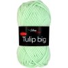 Tulip BIG 4158