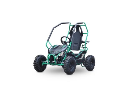 buggy leramotors razor ii deluxe 1000w zelena5