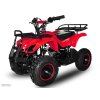 Quad gyerkeknek Torino 49 ccm, E-START