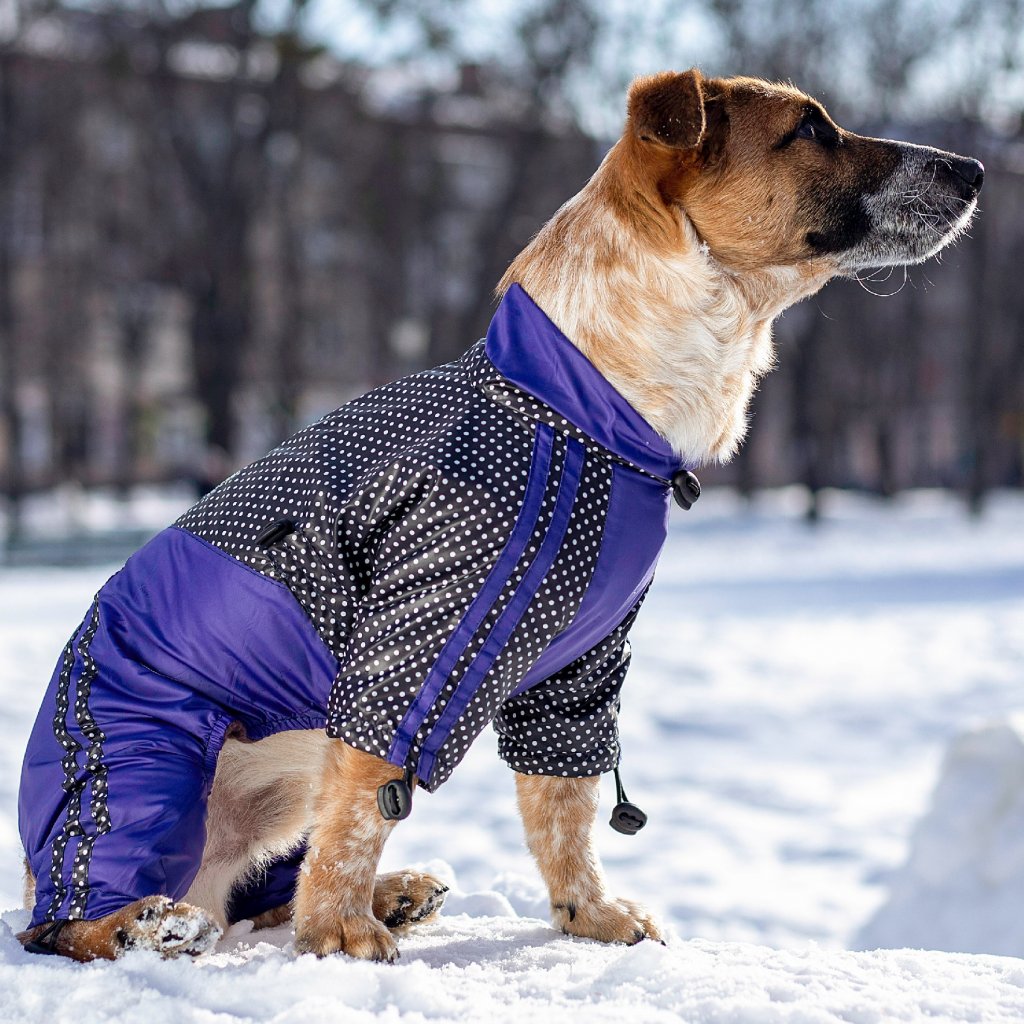 Pláštěnka s fleecovou podšívkou pro psa - Purple