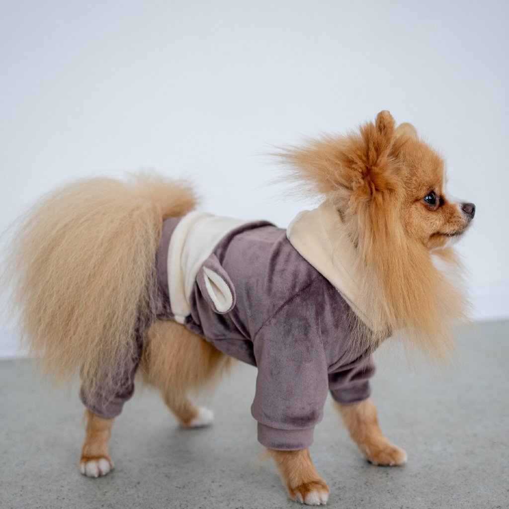 Sametový obleček pro psa - Lilac
