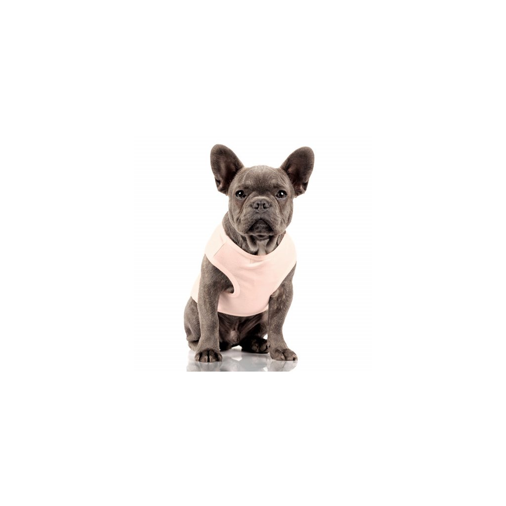 chloe pink bulldog t shirt