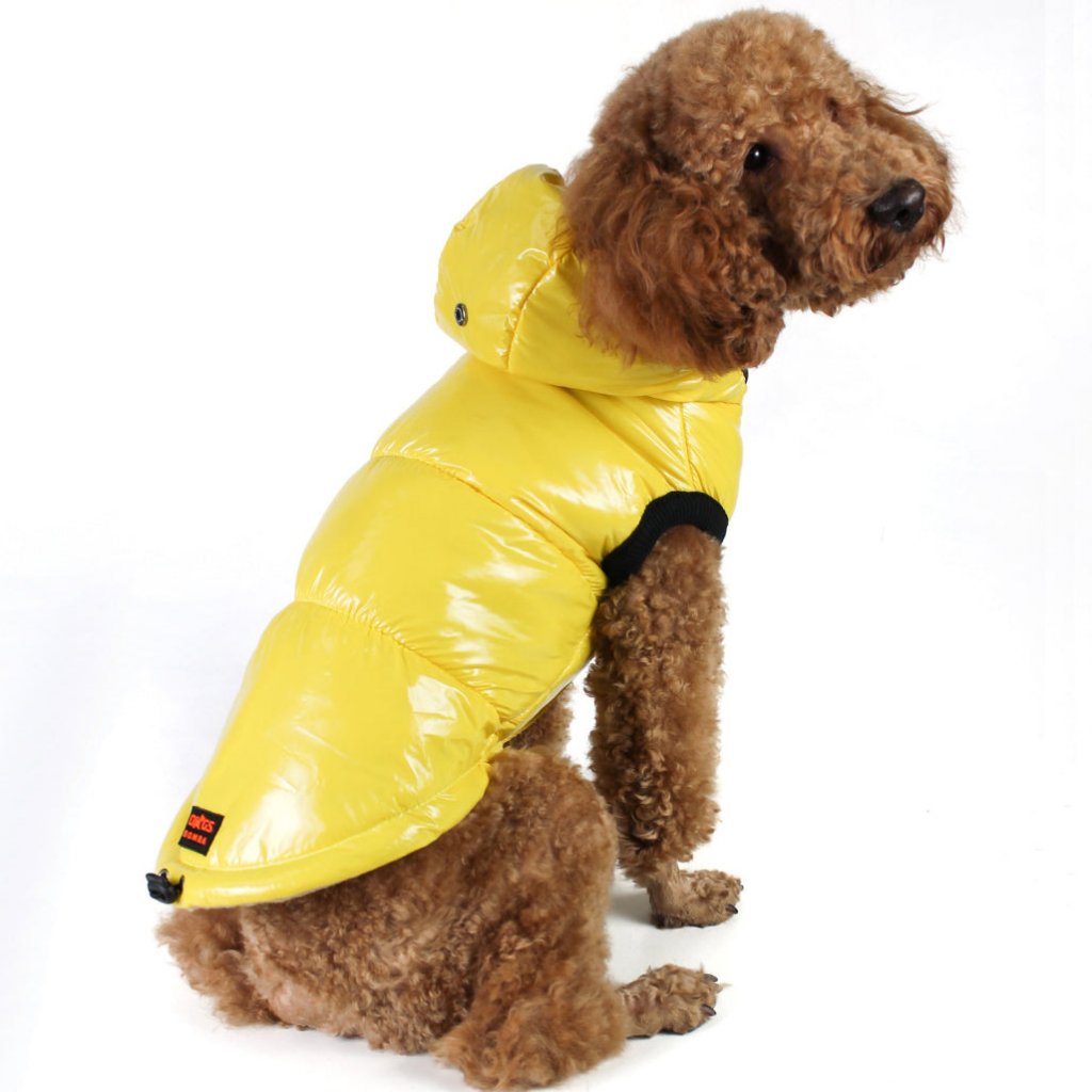 Zimní vesta pro psa "Shine yellow"
