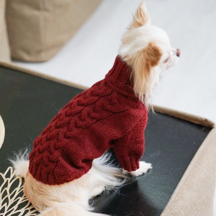 svetr pro psy