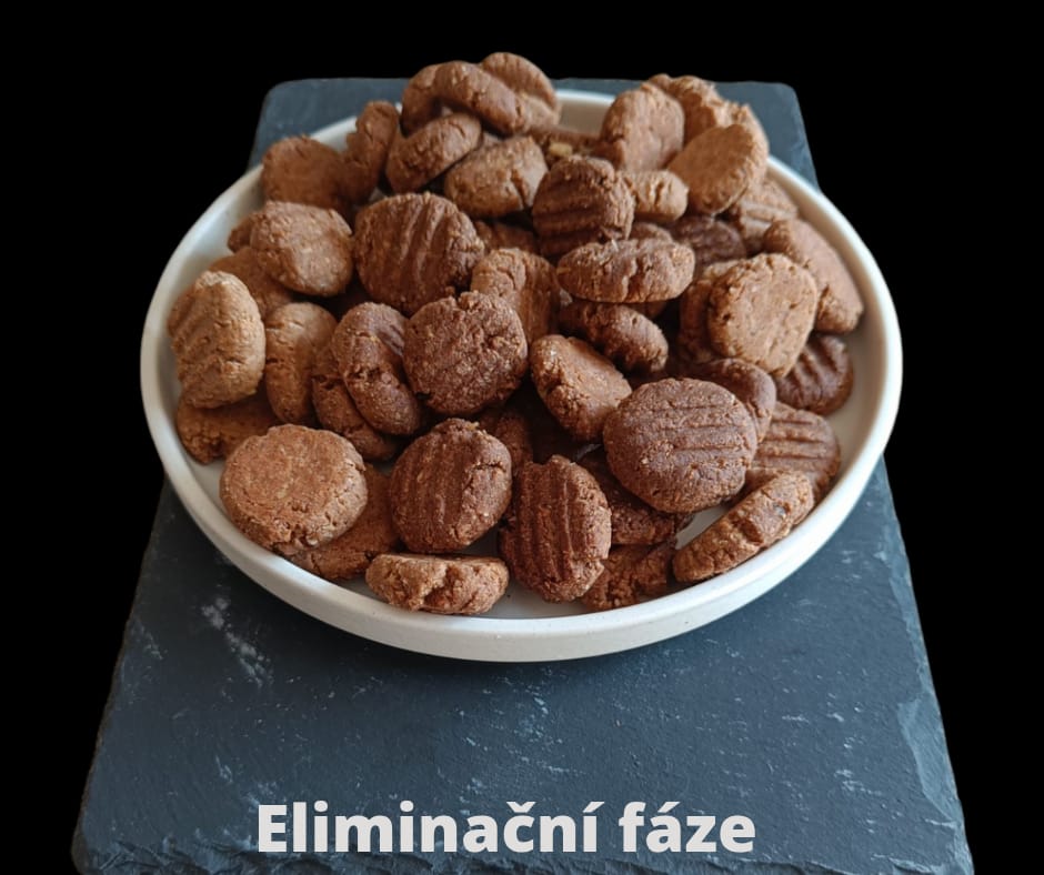 AIP rychlé sušenky