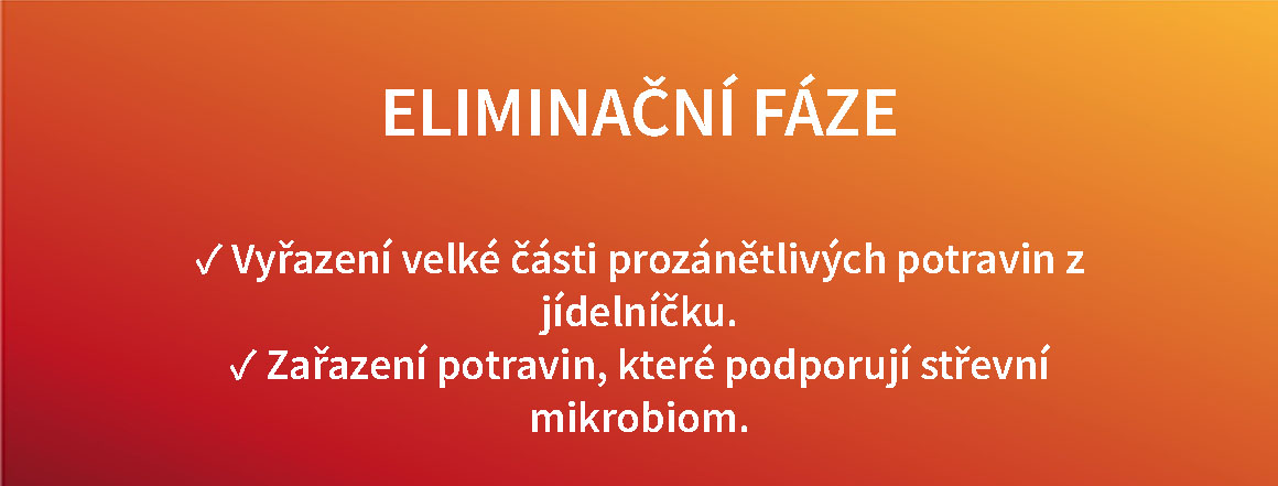 Eliminační fáze AIP diety