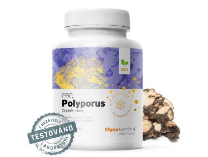 polyporus detail s razitkem kopie.1025759333