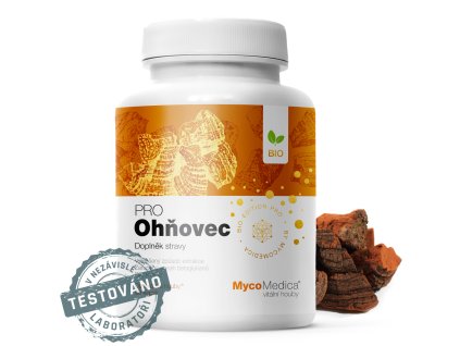 ohnovec detail s razitkem kopie.1025759333