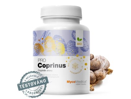 coprinusi detail s razitkem kopie.1025759333