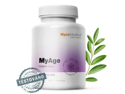 myage detail s razitkem kopie.1025759333