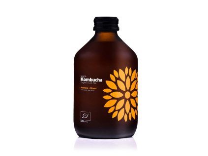b3a9e3783cef150022ec4031b73b7c61 kombucha acerola a zazvor