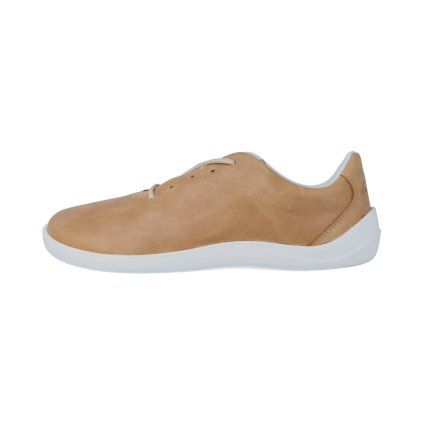 camel 1