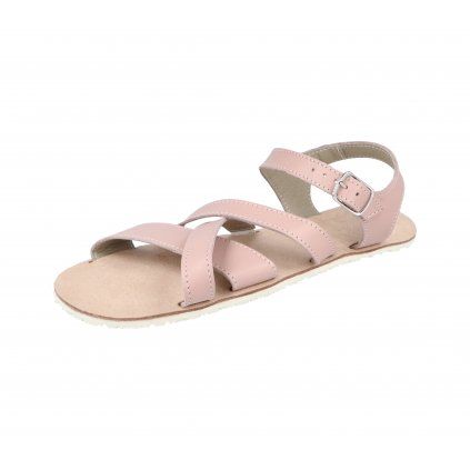 eshop 5