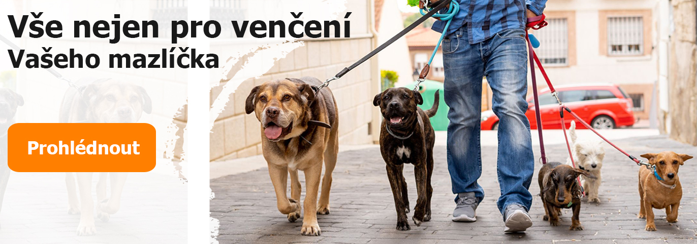 Venčení pejsků