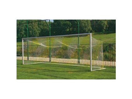 Tornetz Standard 2 x 2 m Variante 1425