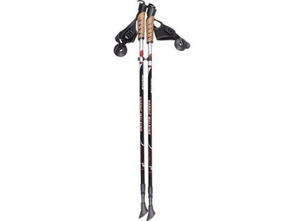 Kije do Nordic Walking opakowanie 1 para