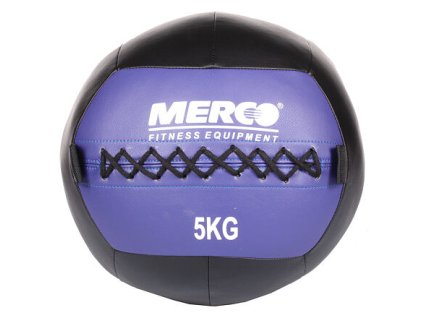 Wall Ball posilovací míč hmotnost 5 kg