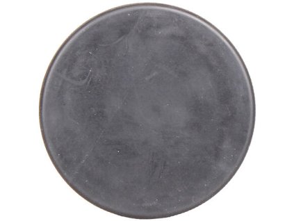 Panther khúc côn cầu cỡ puck cao cấp