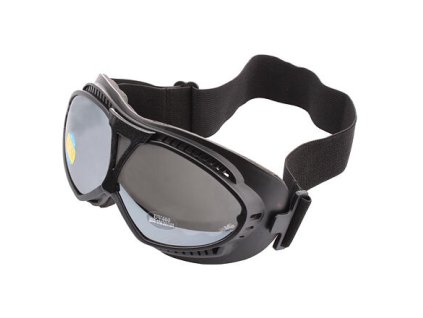 Chamonix ski goggles variant 40980
