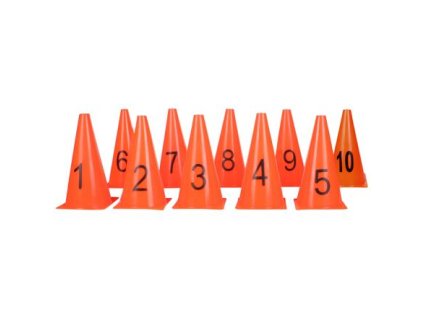 Cone 10 set of cones pack 1 pack