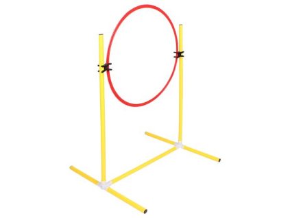 Vượt chướng ngại vật nhảy vòng tròn cho chó màu vàng gói 1 bộ