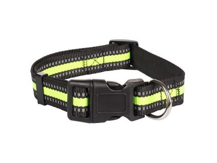 Click collar for dogs green size M