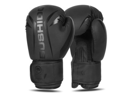 Boxerské rukavice DBX BUSHIDO B-2v22 (Velikost 10oz)