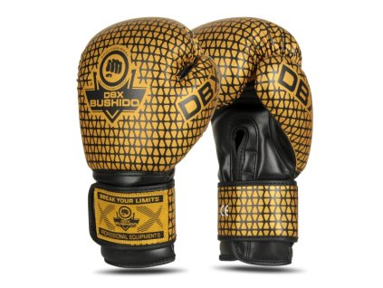 Boxerské rukavice DBX BUSHIDO B-2v23 (Velikost 10oz)