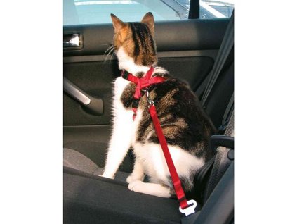 Car harness for a cat 20-50cm
