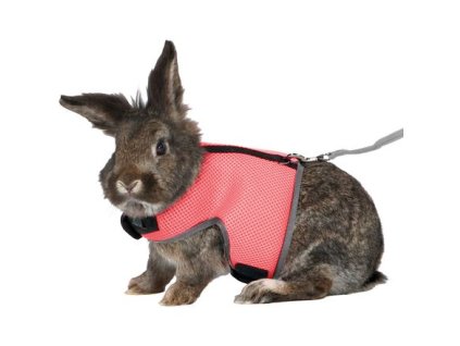 VESTA harness with leash for a large rabbit 25-40cm/1.20m