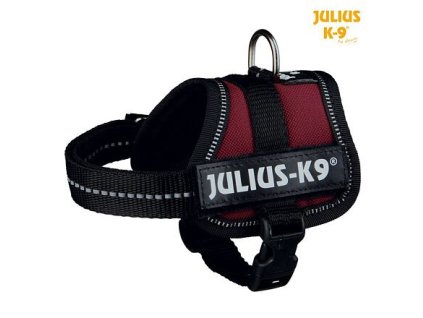 Bộ dây điện Julius-K9 Baby 1/XS 30-40 cm, màu đỏ tía - ĐANG BÁN