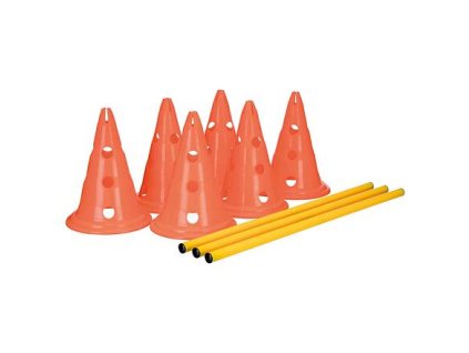 Chướng ngại vật hoạt động của chó (3 cái) 23 x 30 cm/78 cm cam/vàng