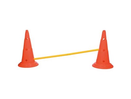 Chướng ngại vật hoạt động của chó (2 chiếc) 30x50 cm/100 cm cam/vàng