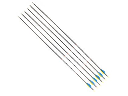 DISPORT Mixx 32/1100 karbón 6 ks šípy