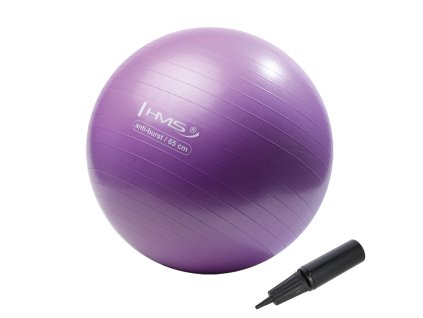 YB02N 65CM PURPLE MAXI 01