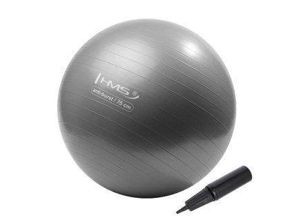 YB02N 75CM GRAY MAXI 01